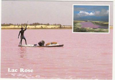 lac rose
